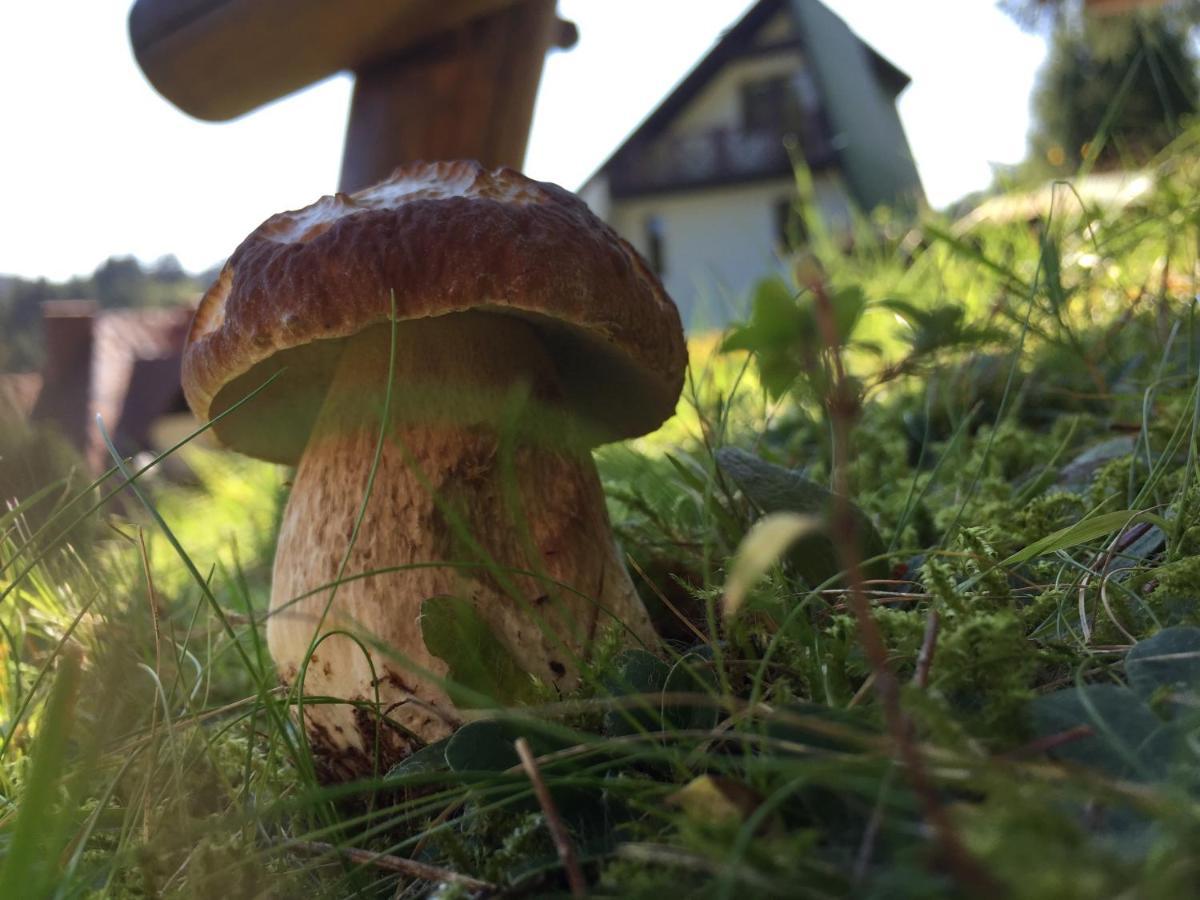 Cerla Korbielów Eksteriør billede